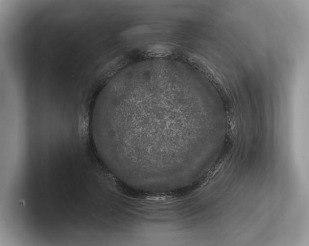 X0000101440745200807211212