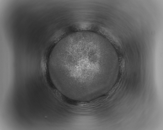 X0000101440746200807211212