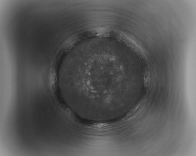 X0000101440748200807211212