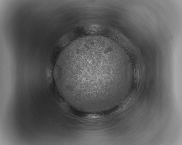 X0000101440749200807211212