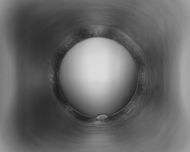 X0000101440750200807211212