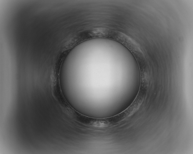 X0000101440751200807211212