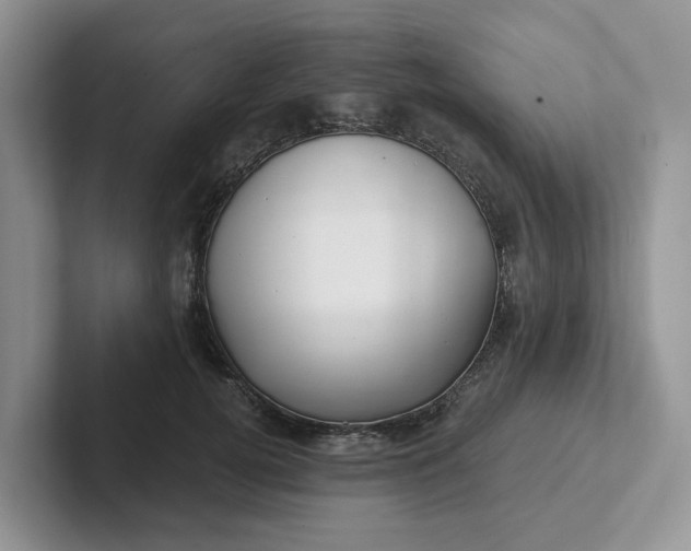 X0000101440752200807211212