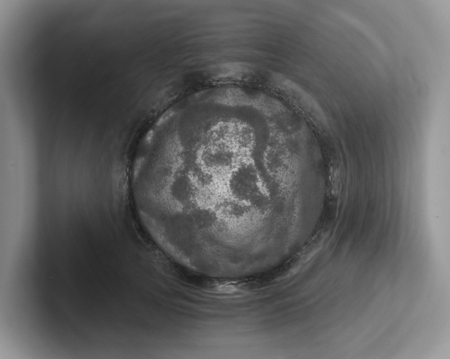 X0000101440753200807211212