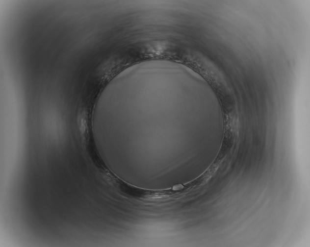 X0000101440754200807211212