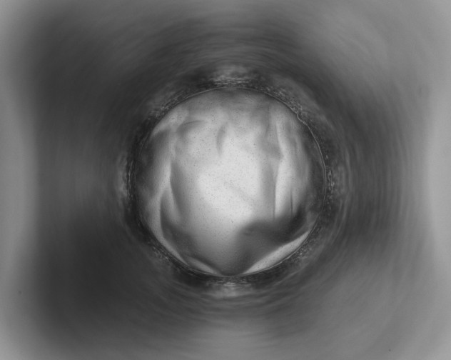 X0000101440755200807211212