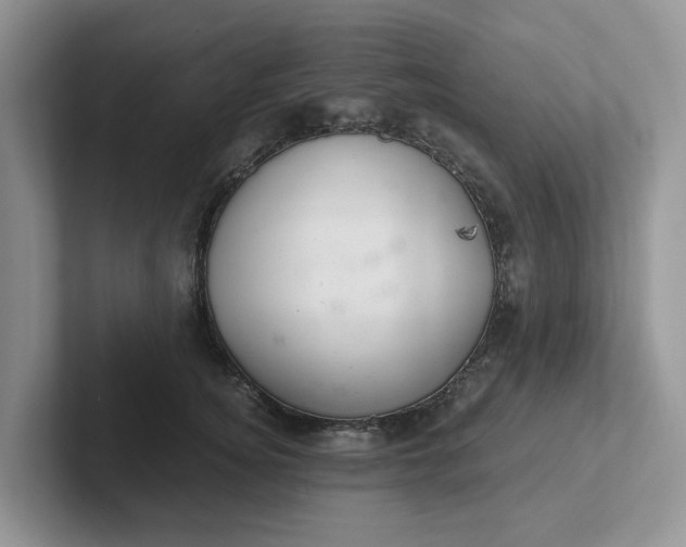 X0000101440756200807211212