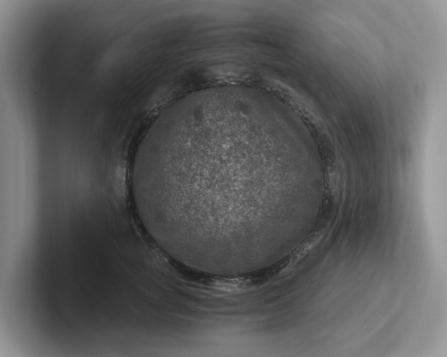 X0000101440757200807211212