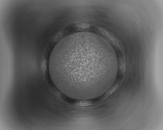 X0000101440758200807211212