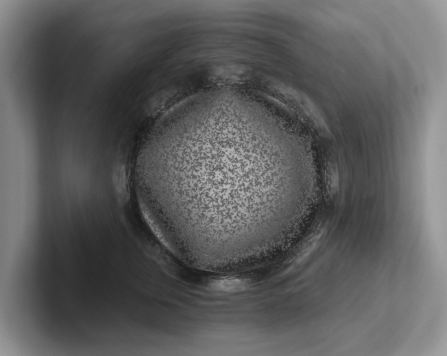 X0000101440759200807211212