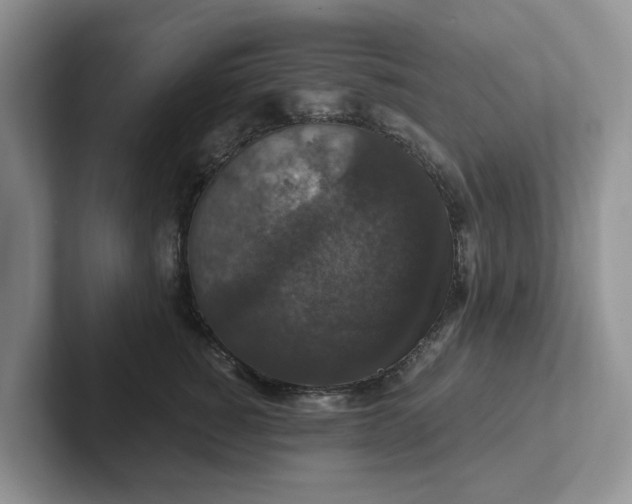 X0000101440760200807211212