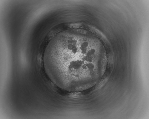 X0000101440761200807211212