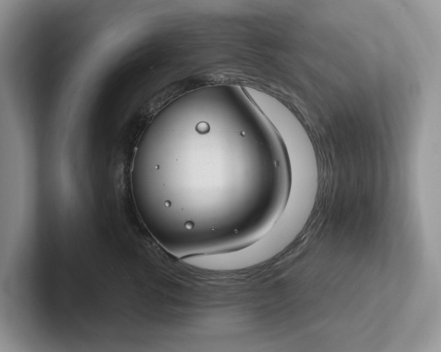 X0000101440762200807211212