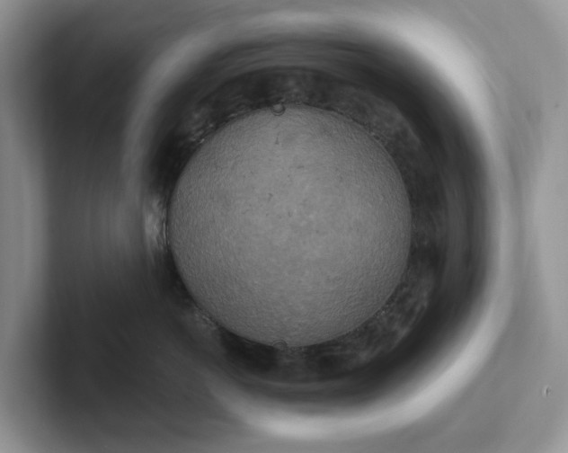 X0000101440766200807211212