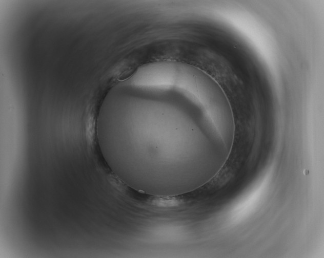 X0000101440767200807211212