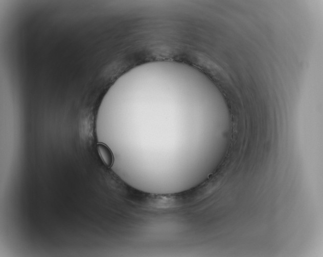 X0000101440768200807211212