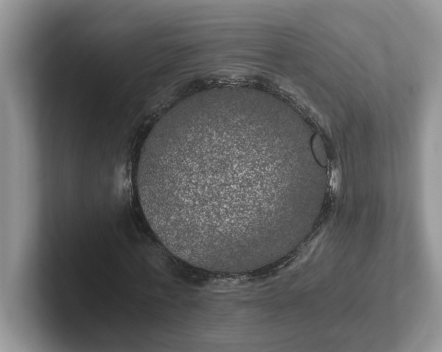 X0000101440771200807211211