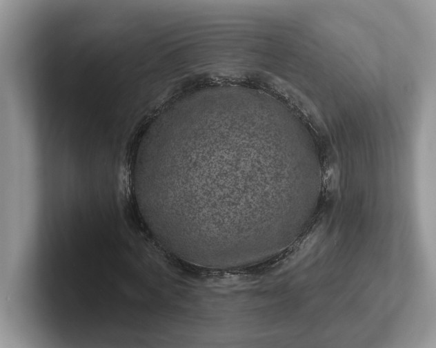 X0000101440772200807211211