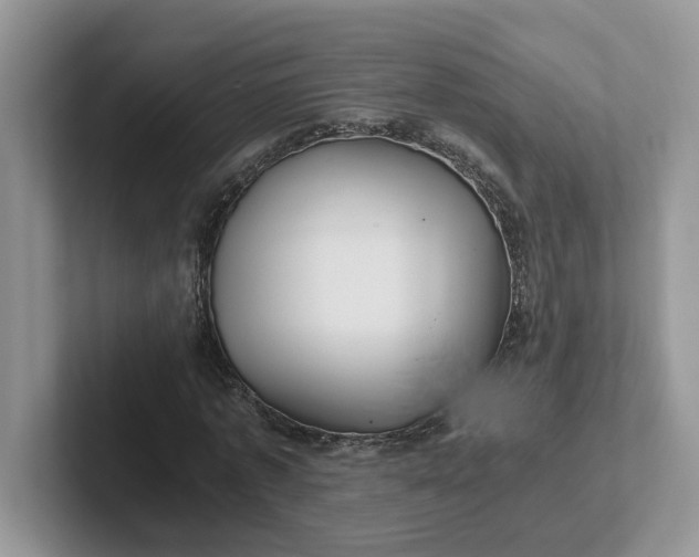 X0000101440773200807211211