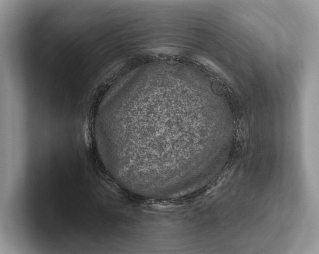 X0000101440774200807211211