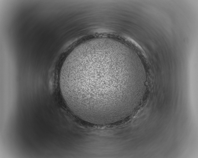 X0000101440775200807211211