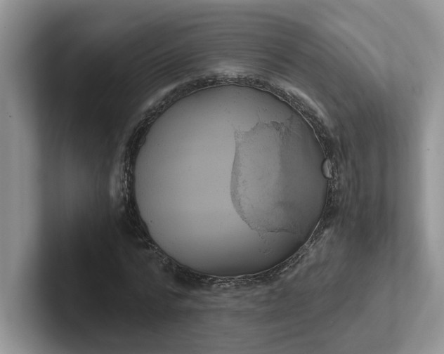 X0000101440776200807211211