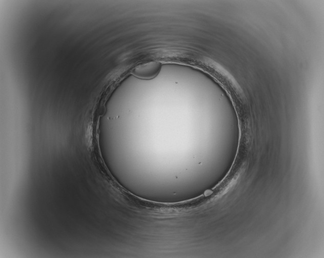 X0000101440777200807211211