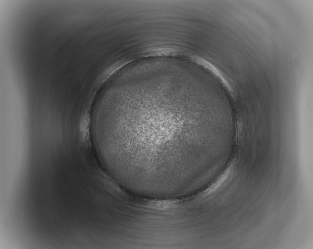 X0000101440778200807211211