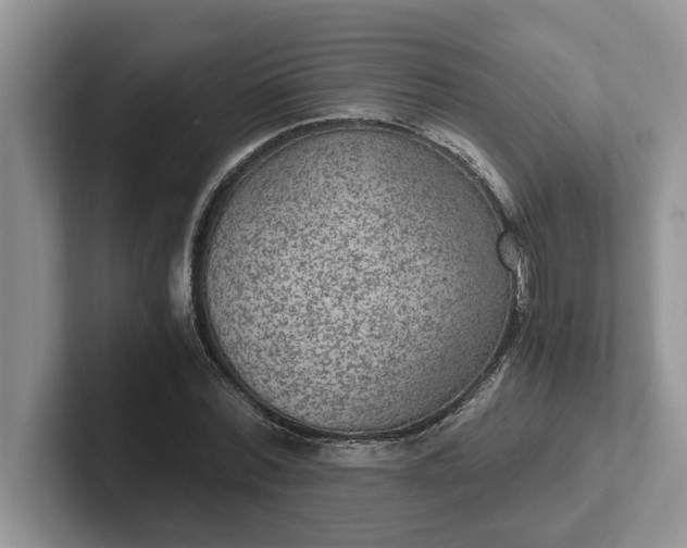 X0000101440780200807211211