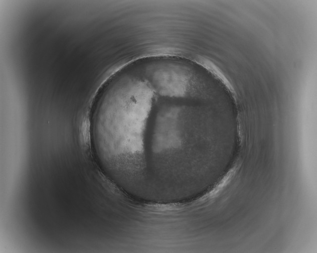 X0000101440781200807211211