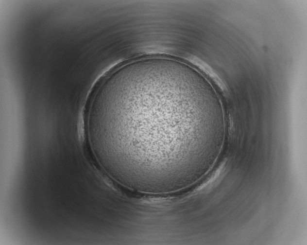 X0000101440782200807211211