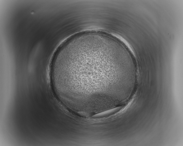 X0000101440783200807211211