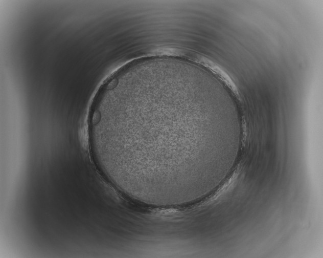 X0000101440784200807211211