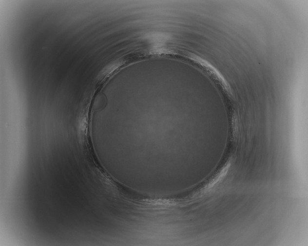 X0000101440785200807211211