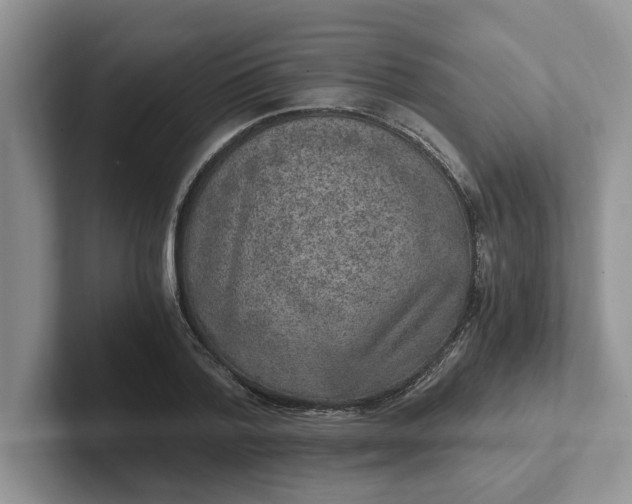 X0000101440788200807211211