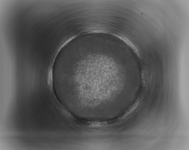 X0000101440790200807211211