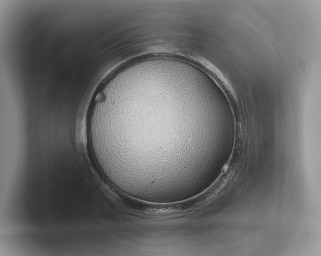 X0000101440791200807211211