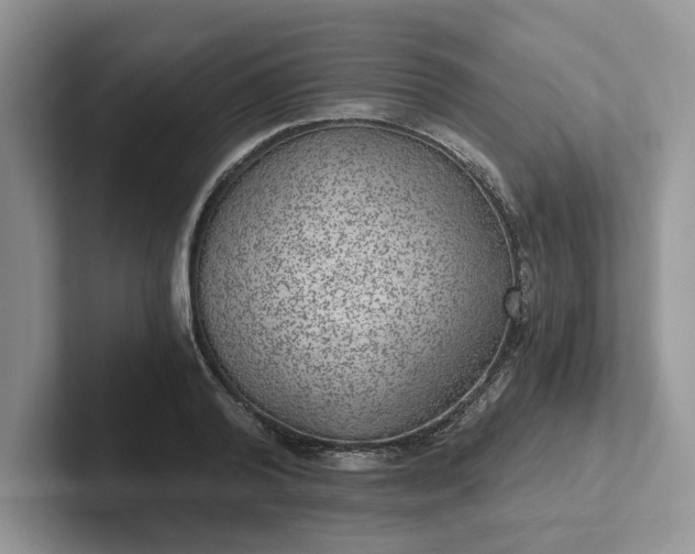 X0000101440792200807211211