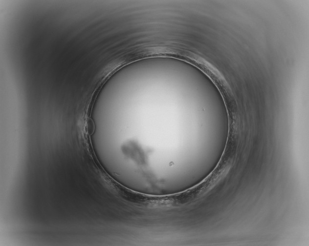 X0000101440793200807211211