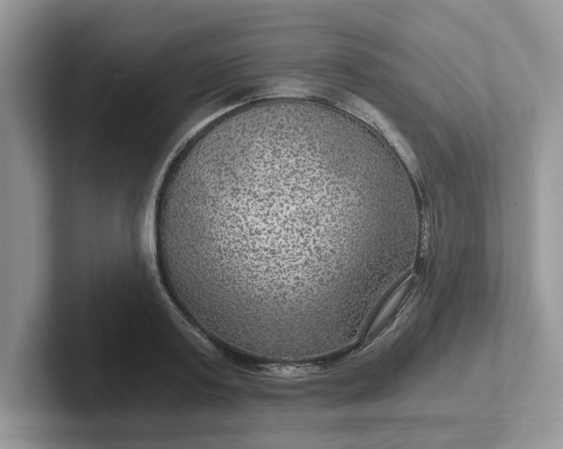 X0000101440795200807211211