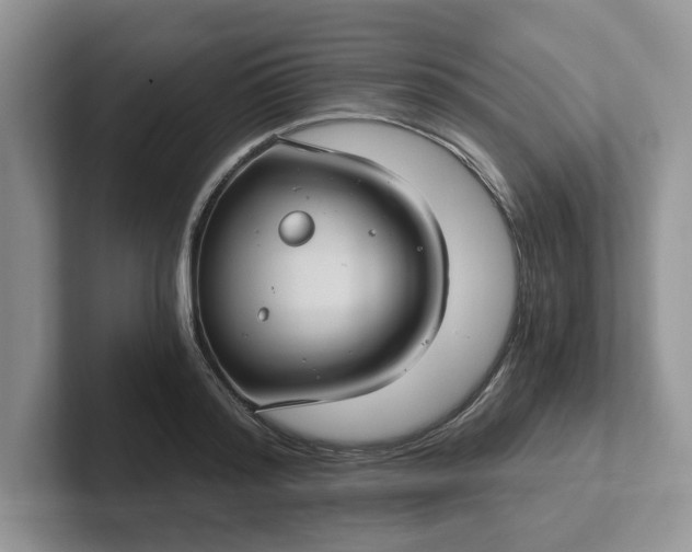 X0000101440796200807211211