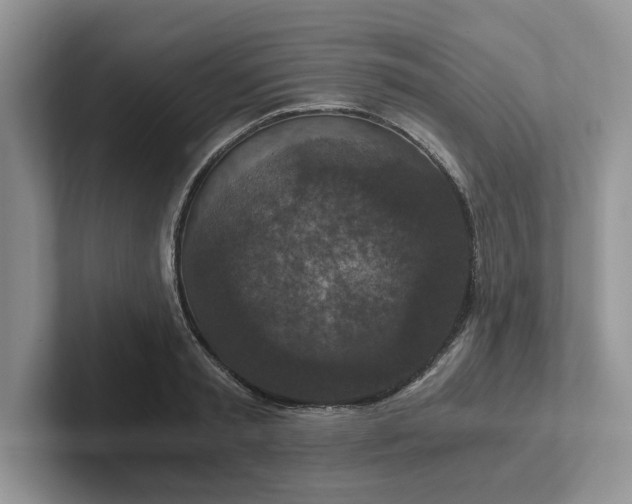 X0000101440797200807211211