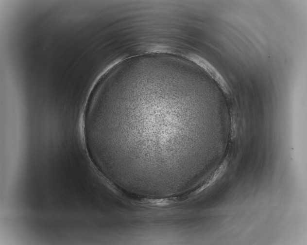 X0000101440798200807211211