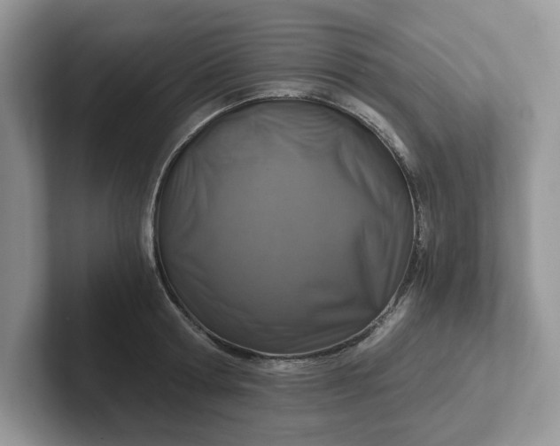 X0000101440802200807211211