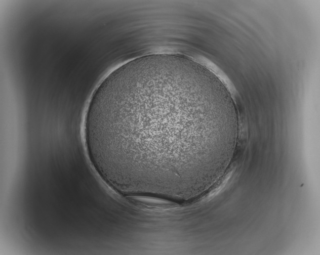 X0000101440803200807211211