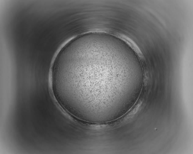 X0000101440804200807211211