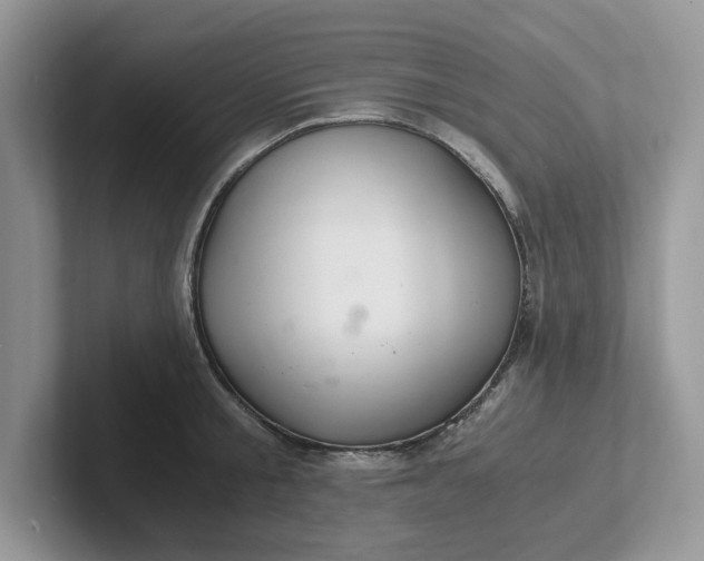 X0000101440805200807211211