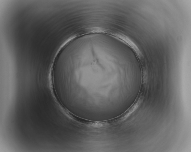 X0000101440806200807211211