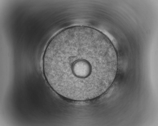 X0000101440807200807211211