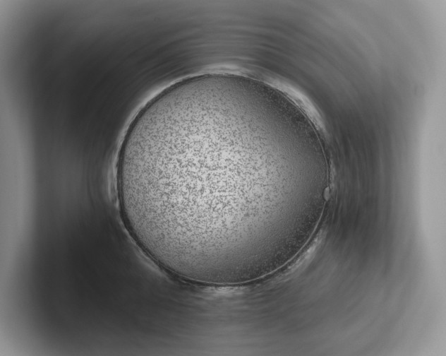 X0000101440808200807211211